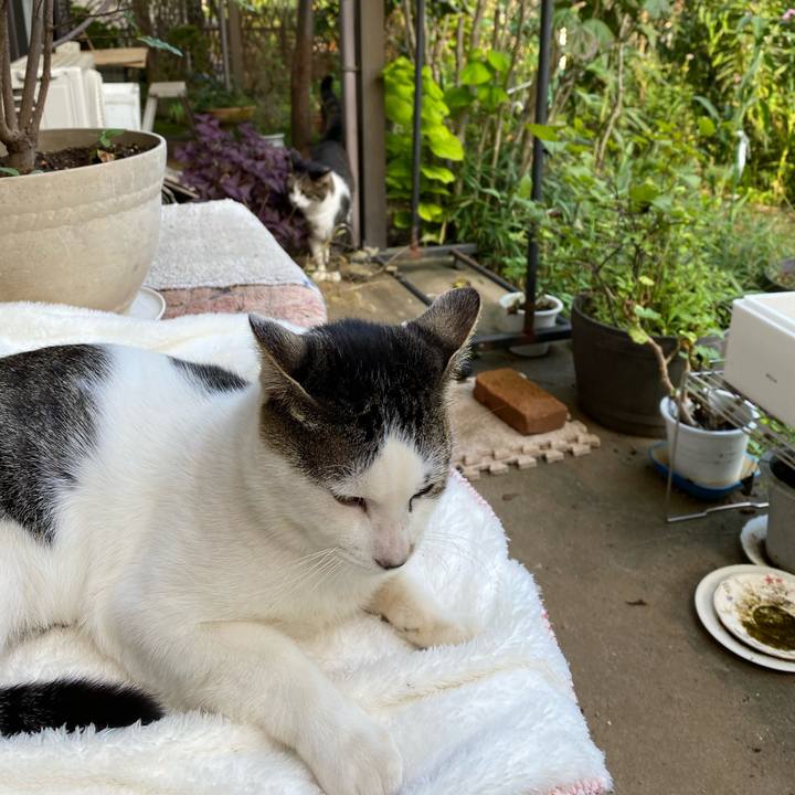 9d969267 1d54 40ac 93df e2abfd57c69b 1601214788940