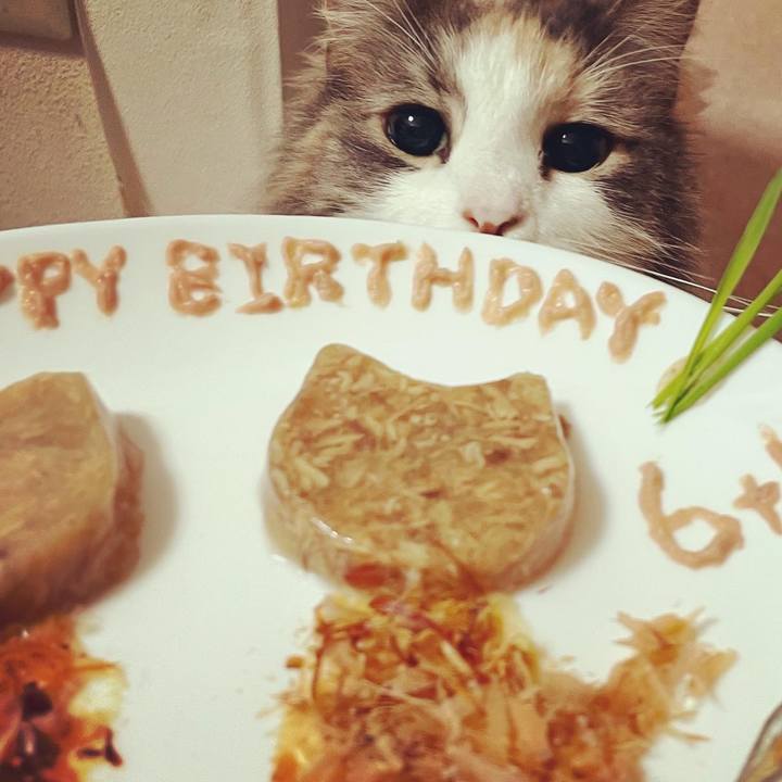 9d969f81 3895 42ad b668 5692a370d6d6 1653748301419