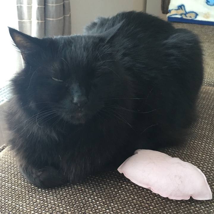 9d96a1bf 2623 452b aa11 948a4f22be13 1515290156155