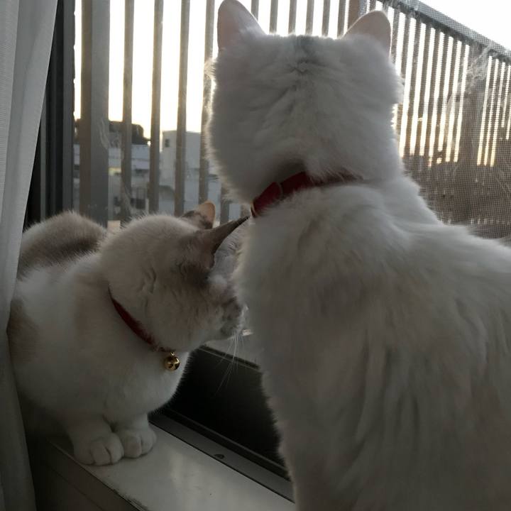 9d96b4f3 04f2 49b5 8734 0801d7507ea4 1511691621929