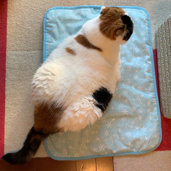 9d96c47c 0b5f 4a4c 8947 52bc4d8afd7b 1563696185319