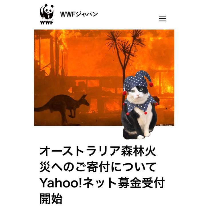 9d97228b fc4a 41c1 aa60 07d9d731ac11 1579664491860