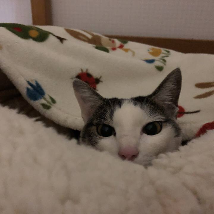 9d972f98 5651 43c1 8928 9c29776c2bf6 1644788779705