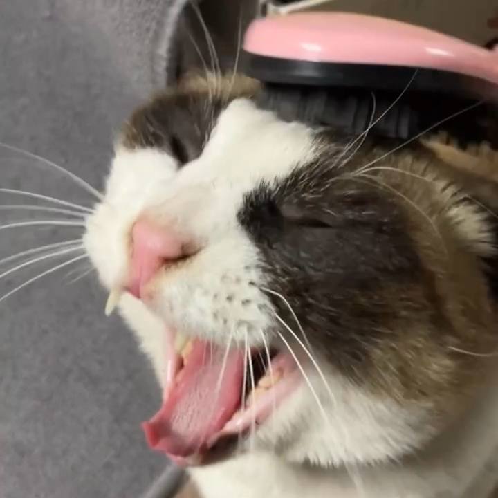 9d974a39 56ee 4f6b ad7e 93ca5bf52851 1737028812973