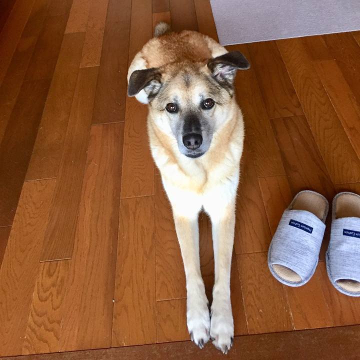 9d977946 27e6 46f4 a913 af355f8768d1 1528416302890