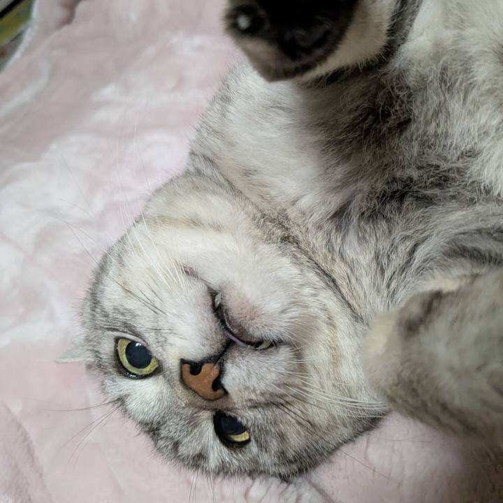 9d97a49a ba53 4d70 acc1 42e8bd9cf058 1746374244753