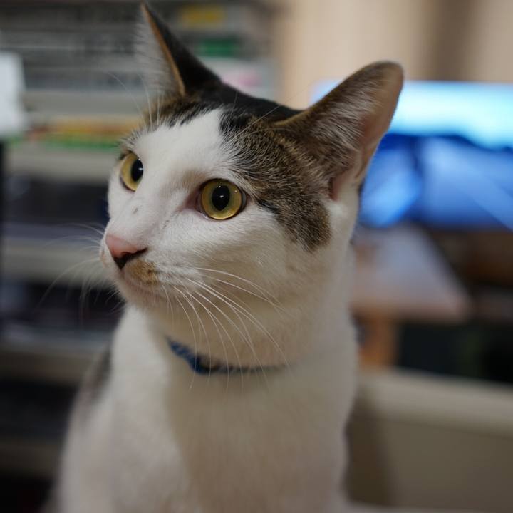 9d97de38 5a4a 4ef7 a860 5095b6c0002a 1510875466482