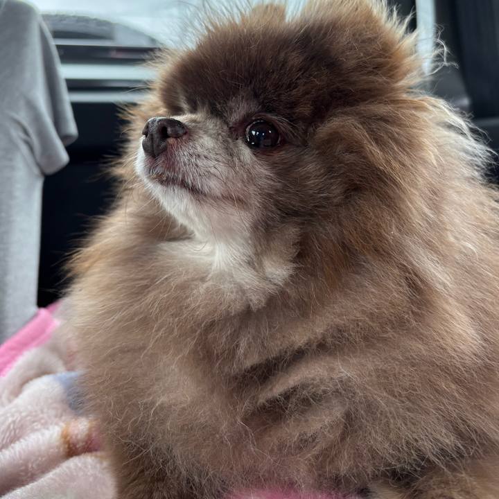 9d980dfd b827 4831 88f5 1eb297bb51c3 1746577372010