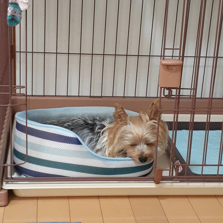 9d981edf 8025 414d 86bc 2ed70b0ec406 1690872416062