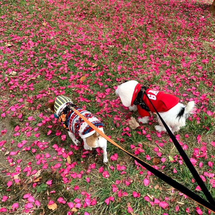 9d995aed 295a 4b93 ae1a 9a8dbd60bfad 1772108777606