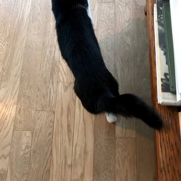 9d996211 66d3 4162 b75f fa91b4689ac4 1558917928918