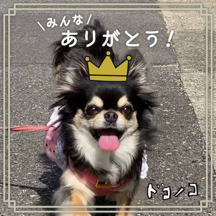 9d9962a1 1fbf 4908 a34f d2f16cf2f9f7 1622852530598