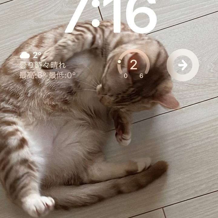 9d99635b 9eb6 4f5c b7f4 44f98ee8165b 1675376295923