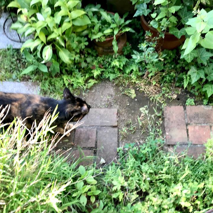 9d996865 6e26 4d77 9071 f8ebf72813f0 1565046870096