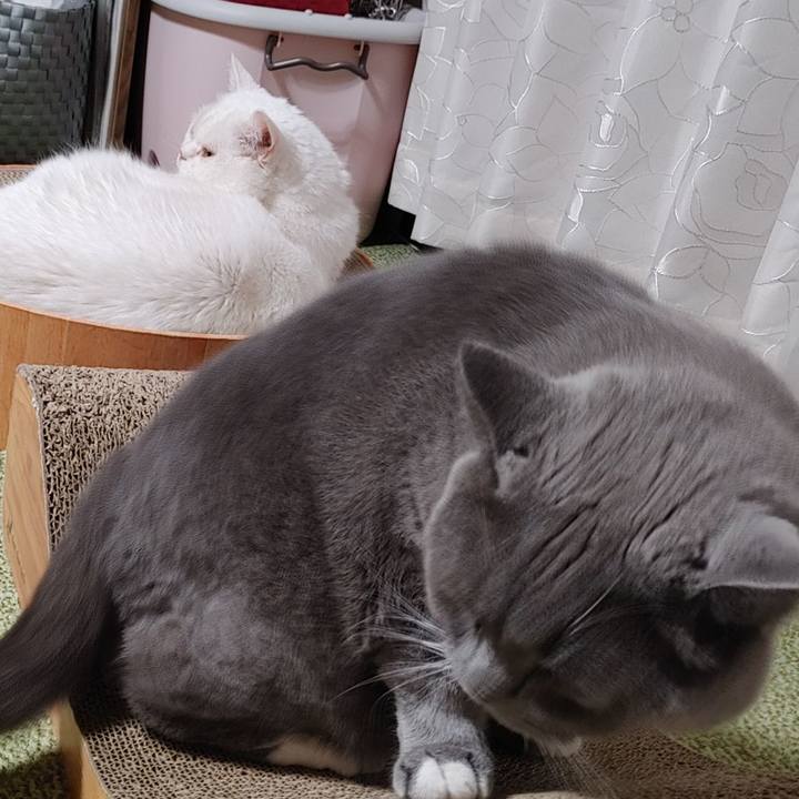 9d997b12 f81b 4ae4 9c32 85c2881fef9d 1659787140391