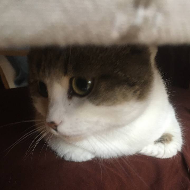 9d99961e 27b7 4d9d 9d48 612759565343 1633131011434