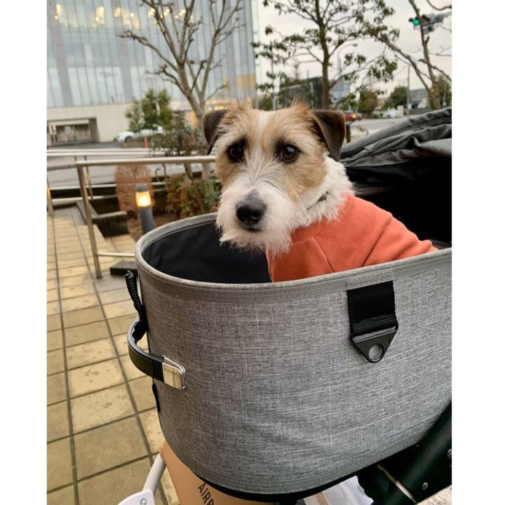 9d999838 9355 487b a9fc fea9196e1c14 1611490498079