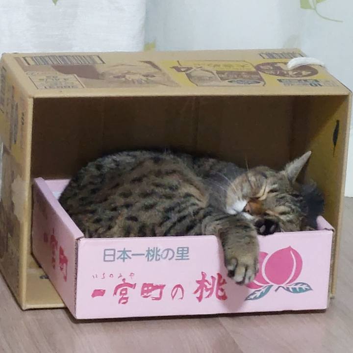 9d999daf 56a2 41b9 b9c8 67b50d328b40 1665571661829