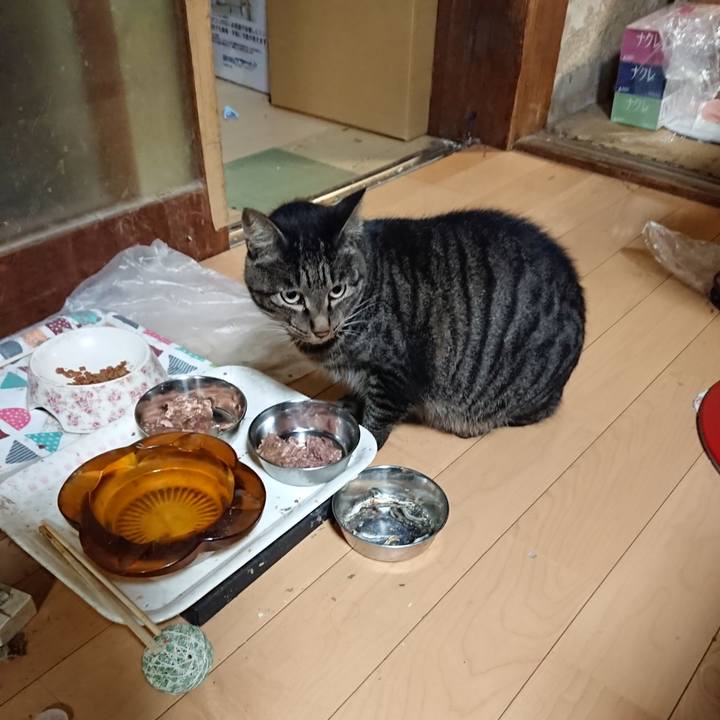 9d99c1d9 1c84 46f7 878b 1e436dc8bfab 1631536725544