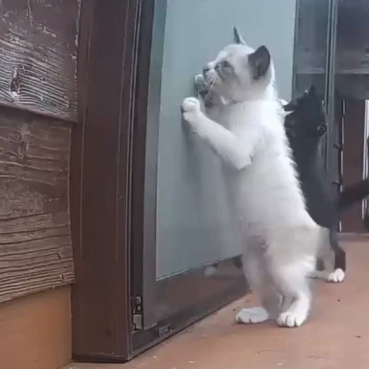 9d99c7cf 1bcd 407f 834c 178f4682678b 1758441934522