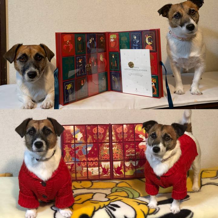 9d9a345b ed47 4212 b240 cbfef7d11f88 1577197380528