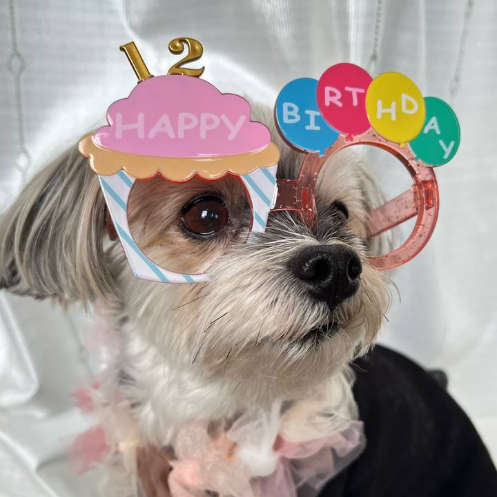 9d9a9661 0514 4a49 a6ac bf0256488b2f 1763417785492