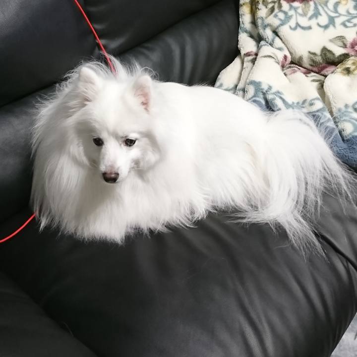 9d9ab7df b41c 49c6 adcf a96233814c6a 1608729954664