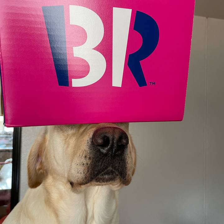 9d9abc90 6a78 40a0 a8fc 1203e77a8cb6 1652857874615