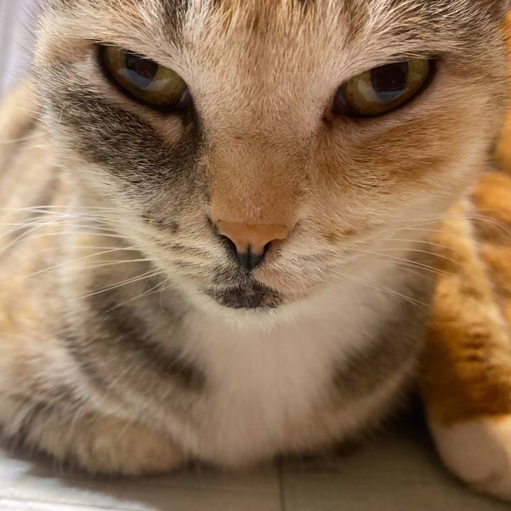 9d9abe70 435a 4c52 a3b2 3f0ccd911e4d 1611865298226