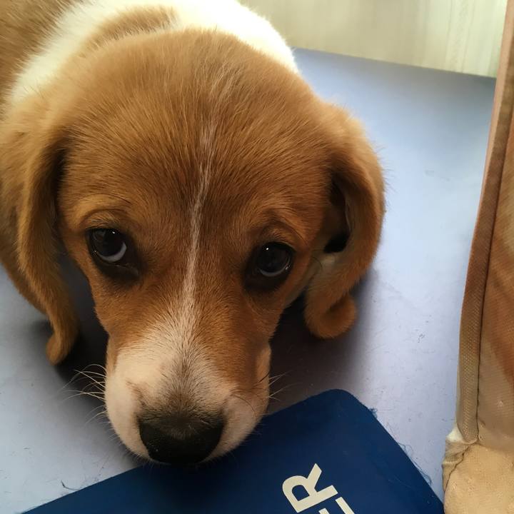 9d9af0d9 62a8 4cab 817b adbfd286d1e2 1590640888842