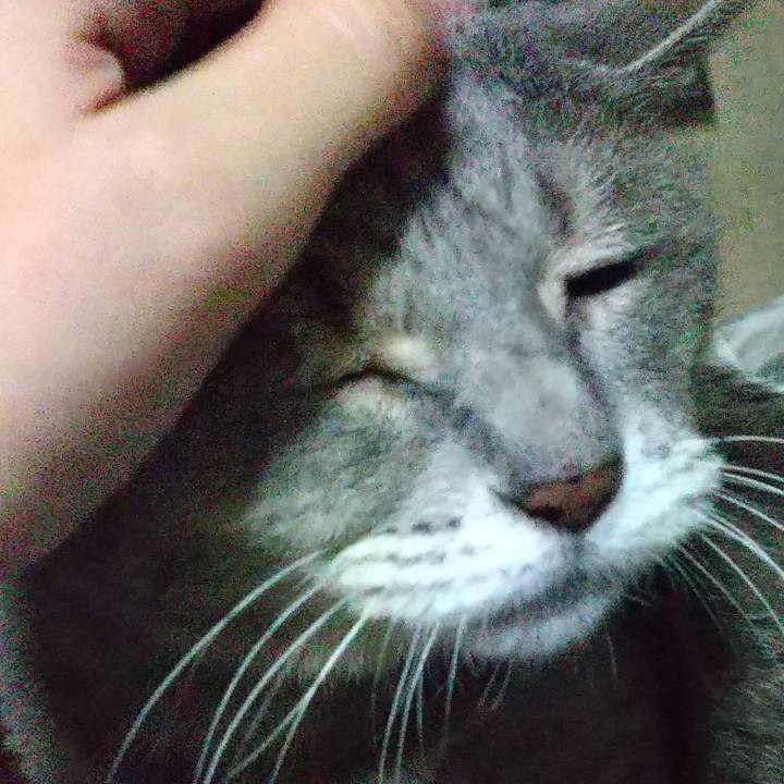 9d9b4a52 d131 43af ab4a 68b8855621a9 1664789724943