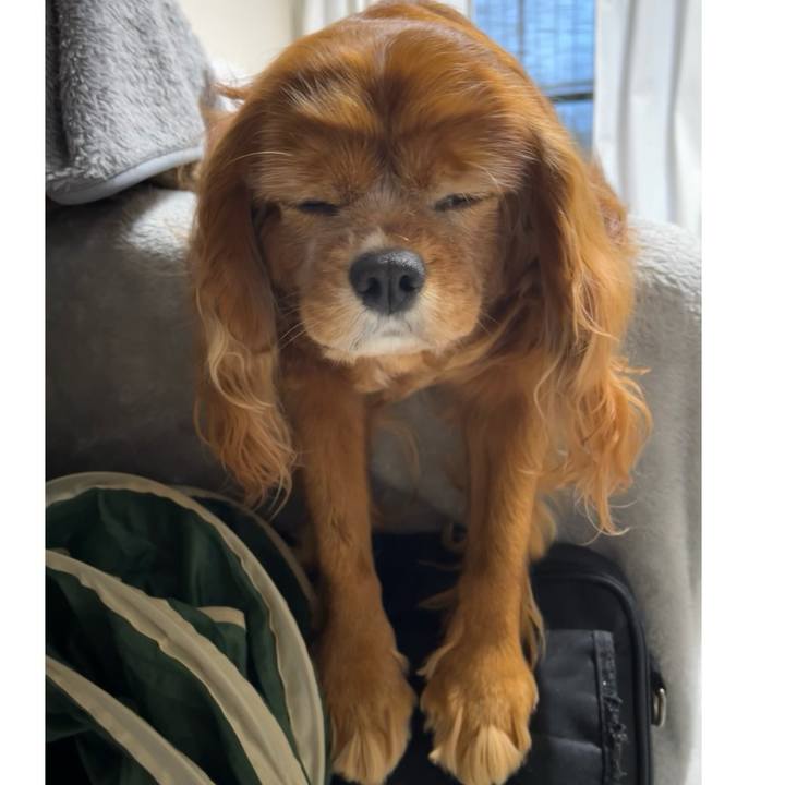 9d9b6d5d 26d4 4174 87d9 aff917a03fef 1711664842276