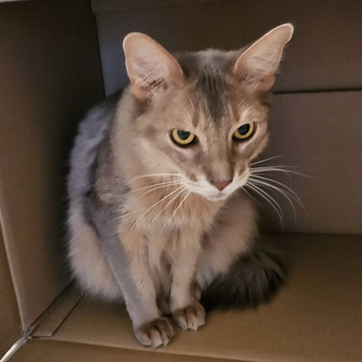 9d9b7400 c96b 4a42 86db 46812ed823e2 1734757152389