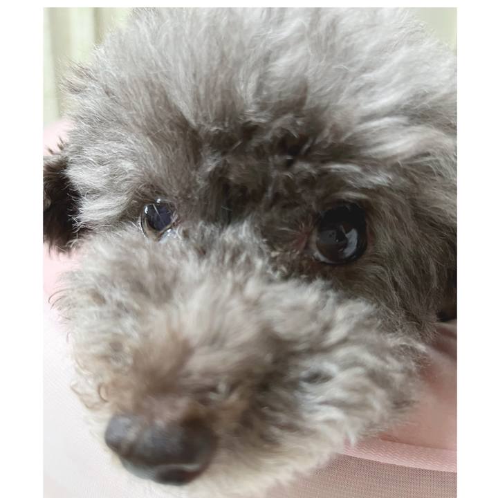 9d9b9dc0 06de 40ec a11b 3575a3f0d783 1694081519170