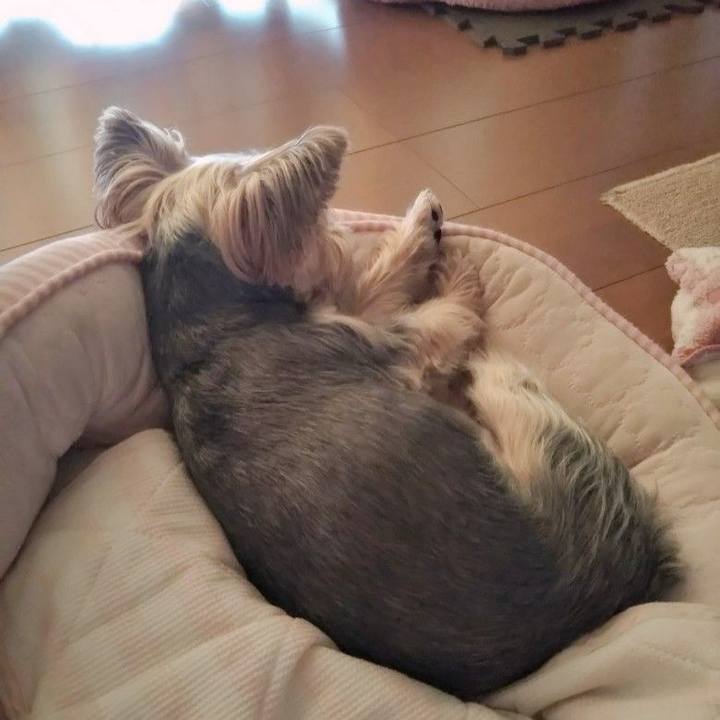 9d9bae08 5a8f 4368 bb77 4e018b649f39 1691791253830