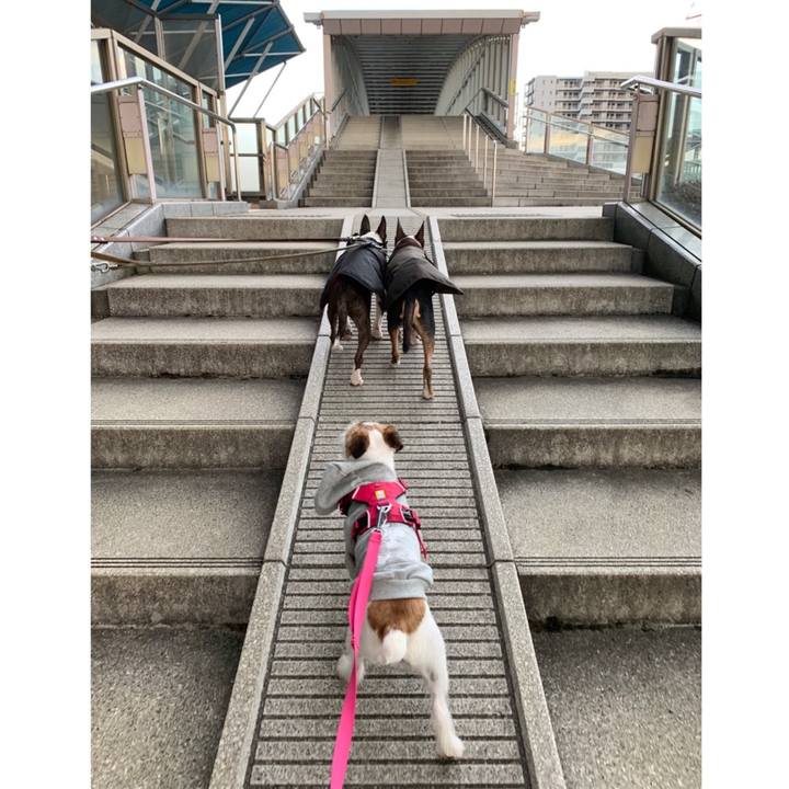 9d9bbae2 f4ef 4935 a734 5386aff855e0 1582366274291