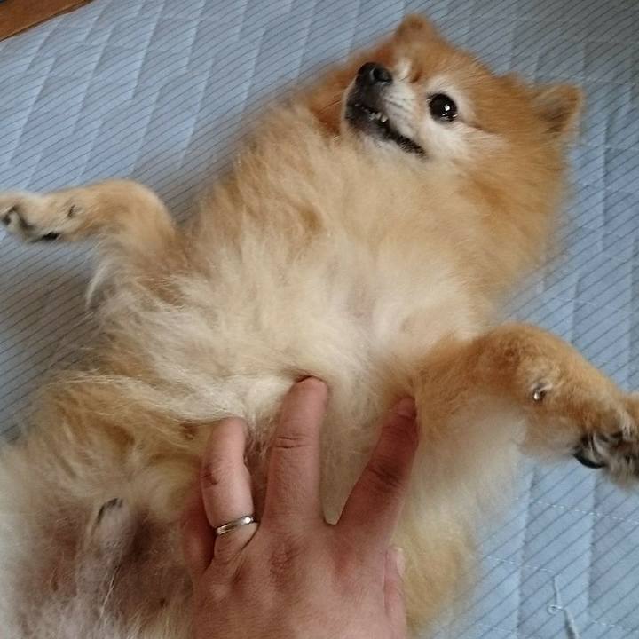 9d9bc029 b4fd 44d1 b4bb 4f7f974569a0 1529448213915