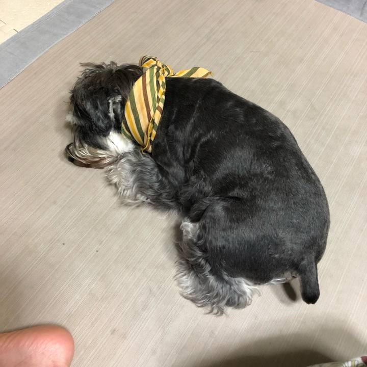 9d9beadb 5b6a 4047 bca4 d0627353c13f 1627997478917