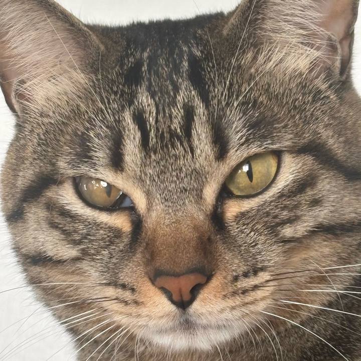 9d9bf66c 94ea 45ed b808 f2b8d058fe5d 1764378316585