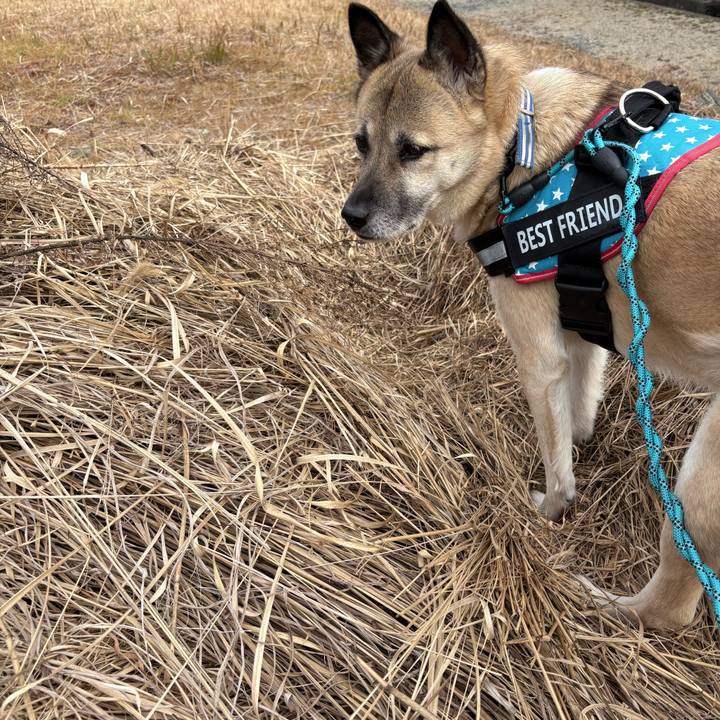 9d9c48d6 93ff 4925 991e f1f61cae2f27 1737981672483