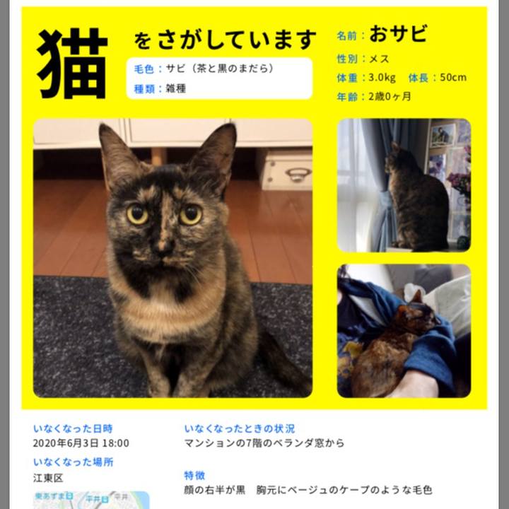 9d9c8ea5 b426 447d 895f 17d781caded2 1592030439960