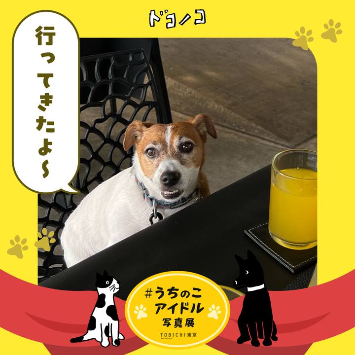 9d9cb9d3 141e 4cab ae92 778e9d1d6b90 1761207489403