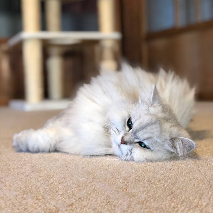 9d9cdb7e 3aac 4890 8ca6 4ba1823fbcc7 1556409071119