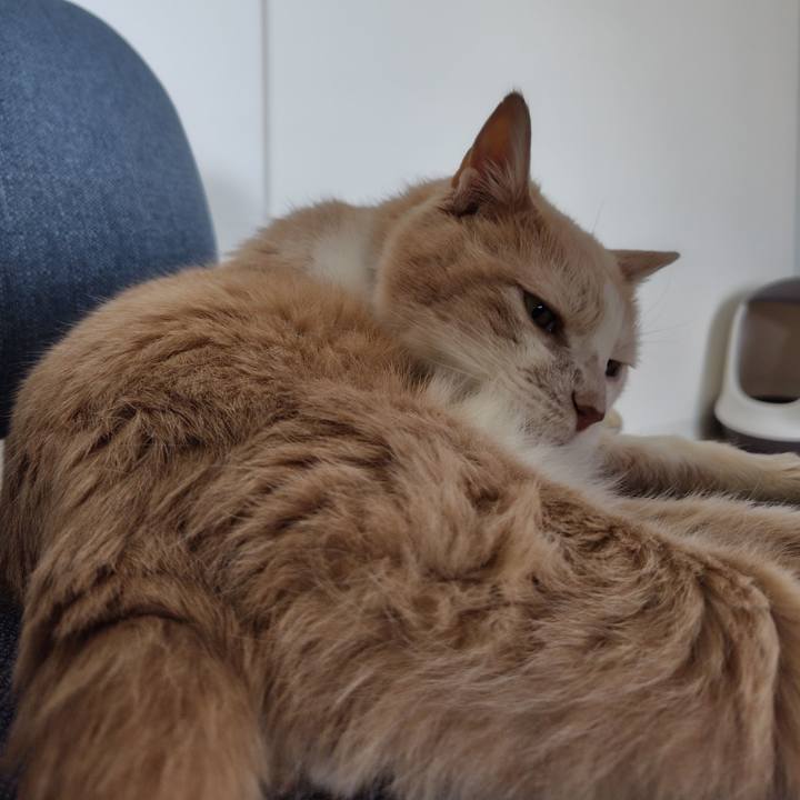 9d9cfaac bff9 4211 987a 0fc064a89fbd 1719440510780