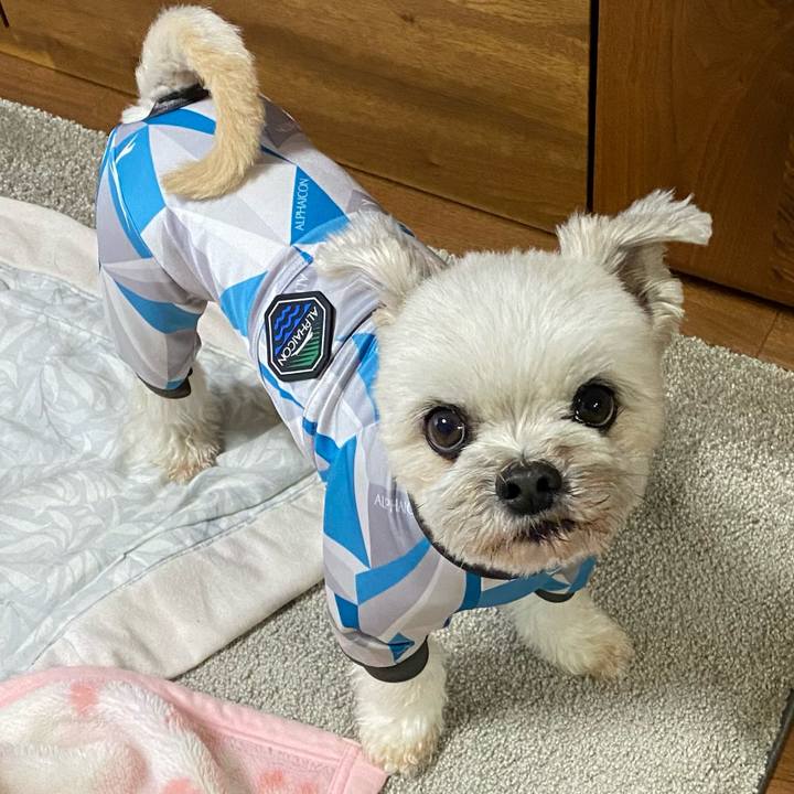 9d9d01b5 7fa2 44a8 973c fd435e7cdd6b 1679743516651