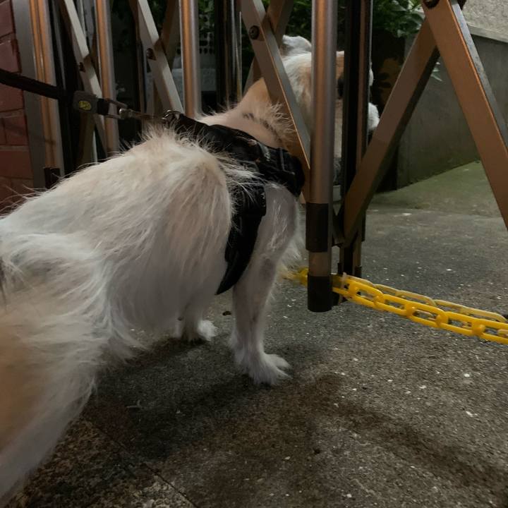 9d9d583d 10d8 4e5c b252 58041815d5e1 1719231809158