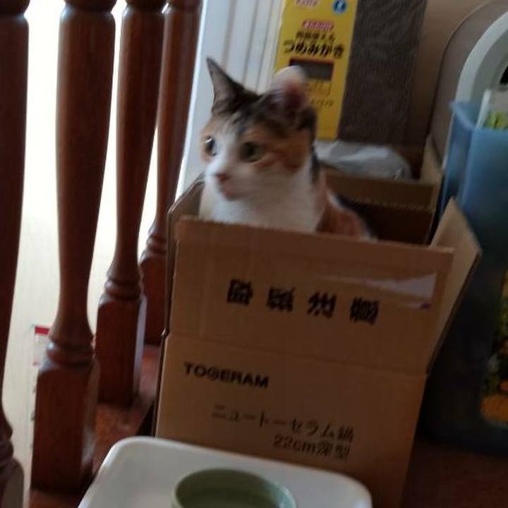 9d9d71cb e41b 4e9f af96 45abb1fd0ac3 1557046065715