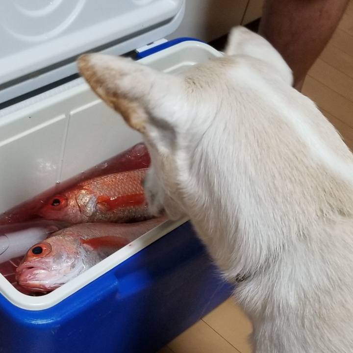 9d9d7309 b474 4ced 8b90 48b4b364ce09 1598527524415