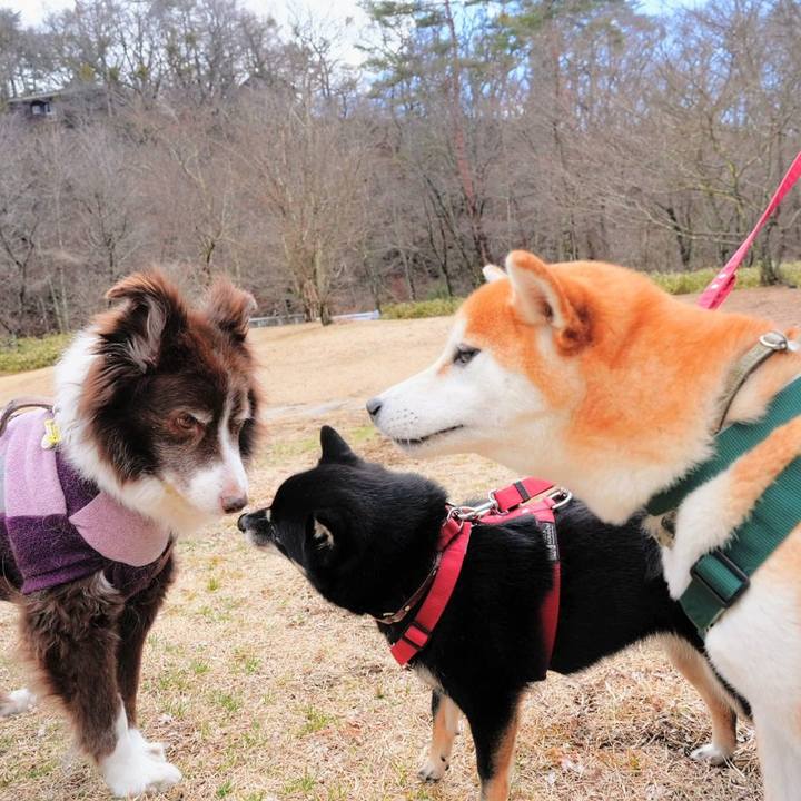 9d9d7f24 5707 409d 8f85 b4dcc9bbd397 1773899211019