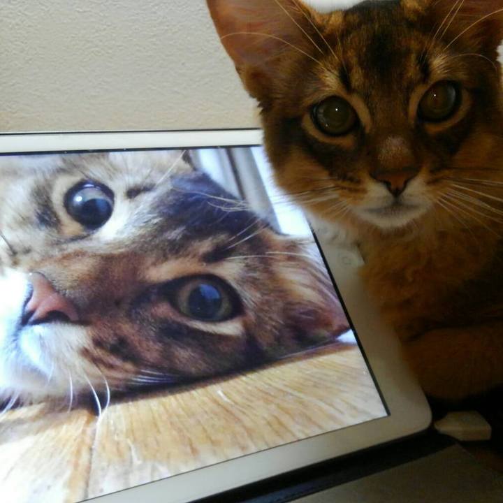 9d9dbdf4 916b 4ef5 9285 3e4fef403b38 1577268904427